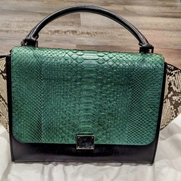 Celine Medium Python Trapeze Bag - Picture 3 of 16